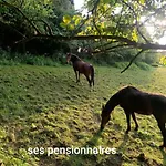 La Randonnee 乡村民宿