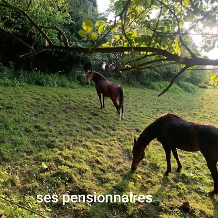 La Randonnée Séjour à la campagne