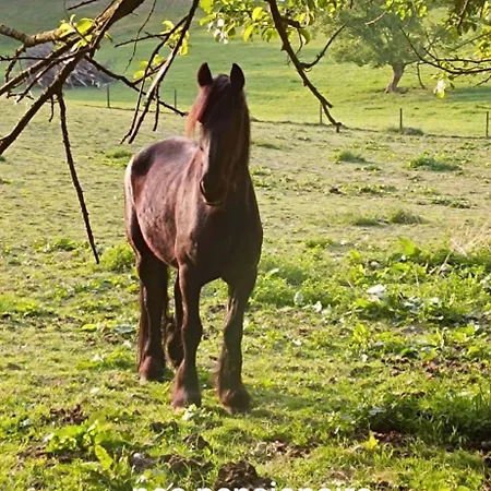 Landhaus La Randonnee