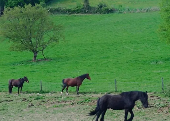 Landhuis La Randonnee