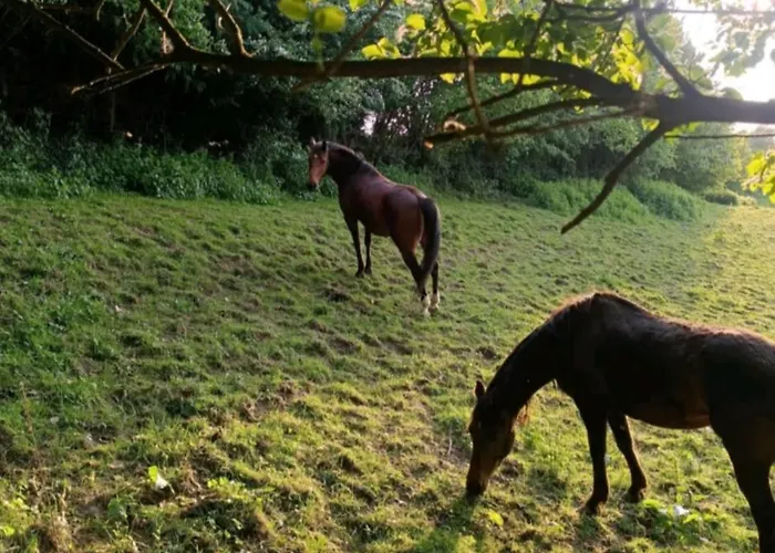 La Randonnee Landhuis