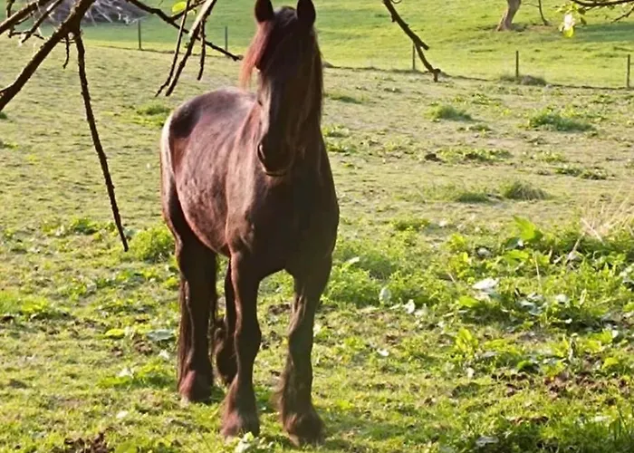 Landhuis La Randonnee